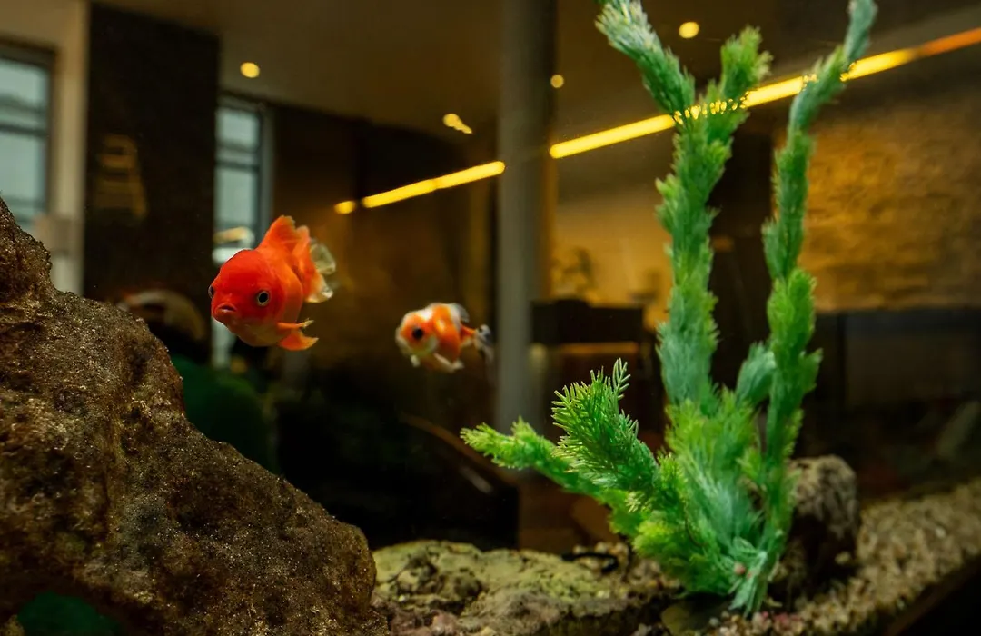 Wellton Centrum Hotel&SPA-1